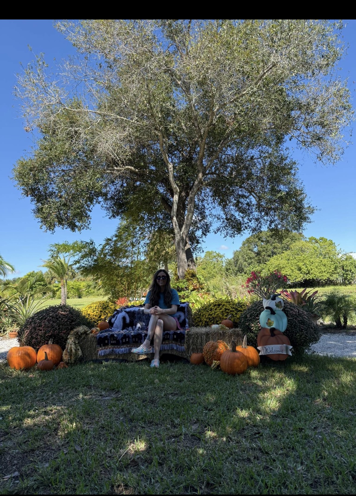 A person seated beside a seasonal pumpkin display in the gardens
