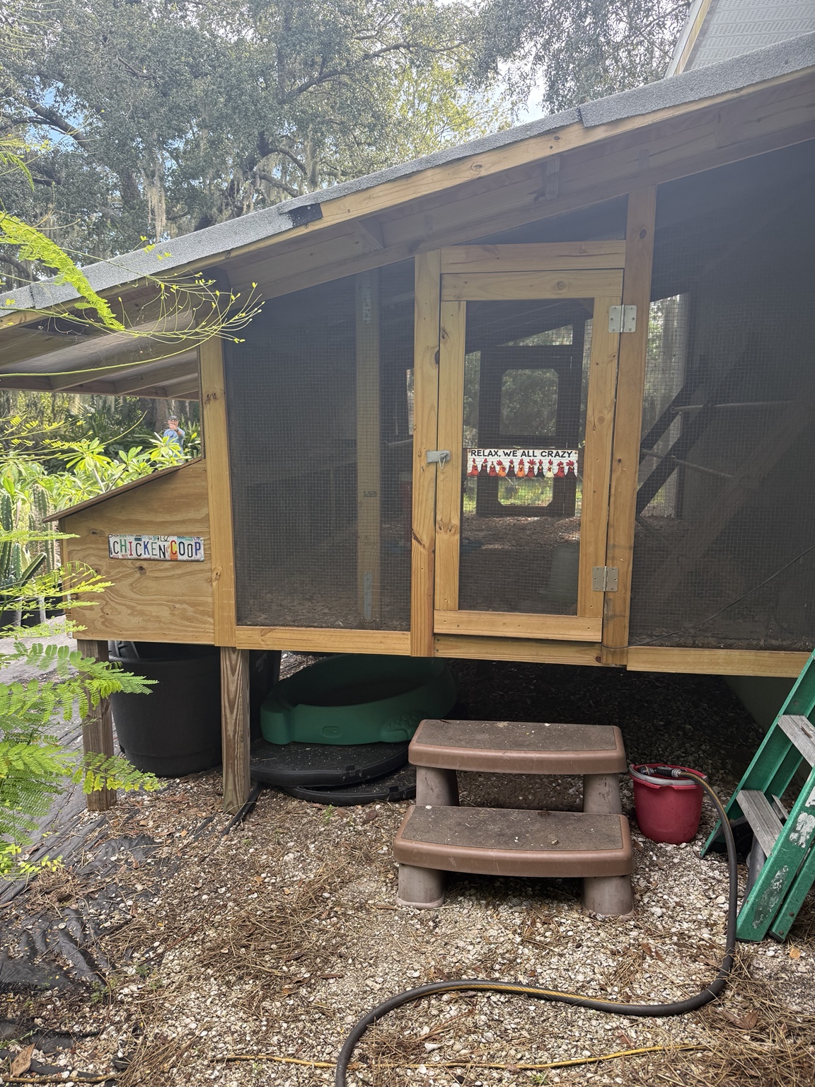 The wooden chicken coop at Marée Farms, with a screened entrance and steps surrounded by greenery