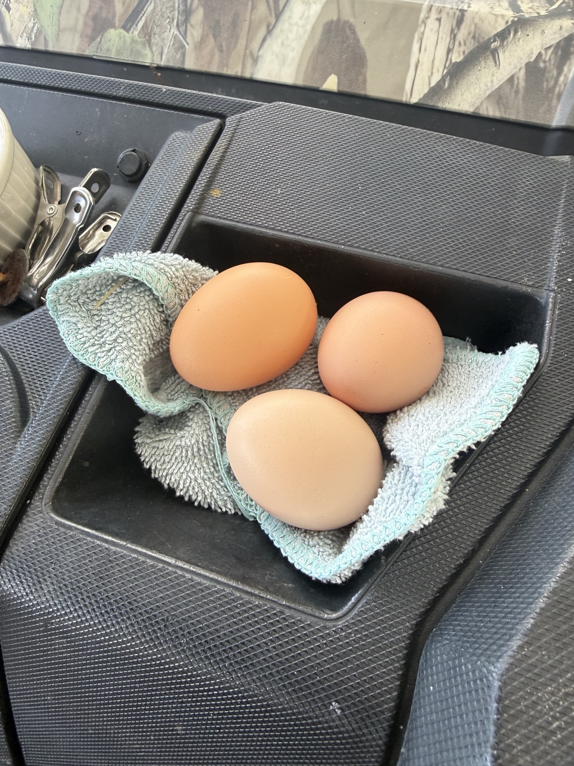 Three freshly collected brown eggs resting on a soft towel at Marée Farms