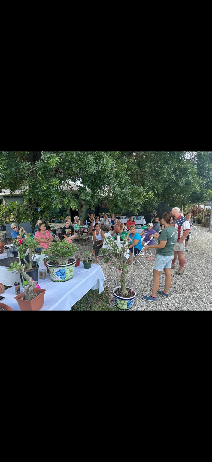 Guests gathered under the trees for a desert rose care class at Marée Farms