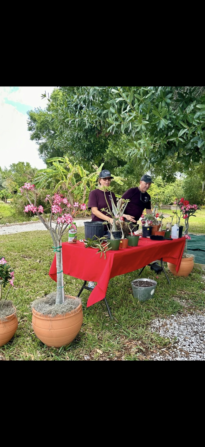 Two presenters demonstrating desert rose care beside a table of plants and tools