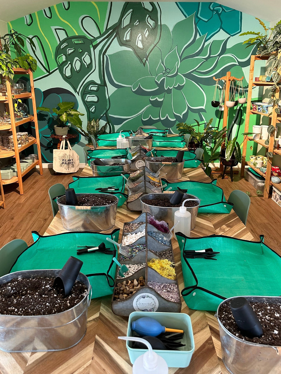 The DIY potting bar at Sincerely Succulents, with planting tools, green work mats, and a tropical leaf mural