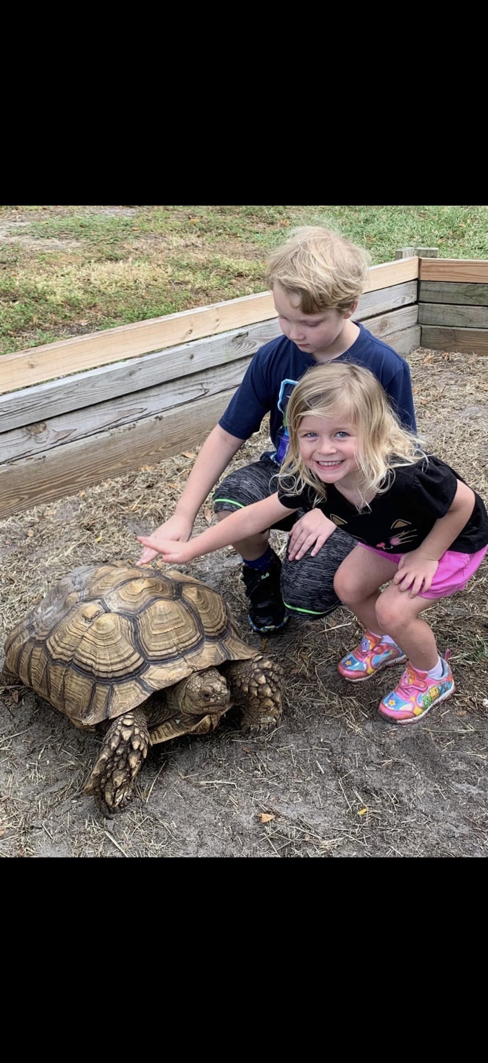 Two children crouching beside a sulcata tortoise at Marée Farms